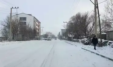 Doğu Anadolu'da Kar Yağışı