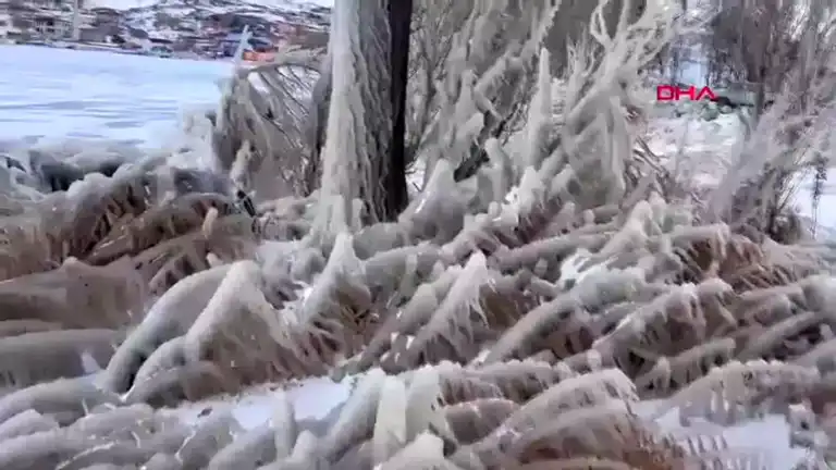Ardahan'da Buz Tutmuş Çıldır Gölü'ndeki Kuşları Besleyen Aşçı