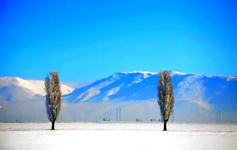 Erzurum'da -30.8 Derece! Türkiye'nin En Soğuğu
